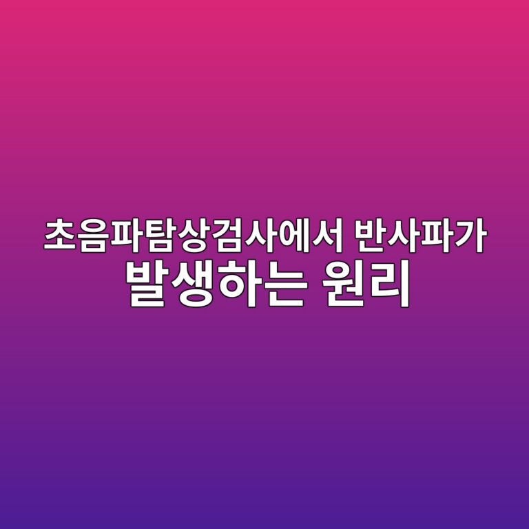 초음파탐상검사에서 반사파가 발생하는 원리 4 ecb488ec9d8ced8c8ced8390ec8381eab280ec82acec9790ec849c ebb098ec82aced8c8ceab080 ebb09cec839ded9598eb8a94 ec9b90eba6ac 1786775531