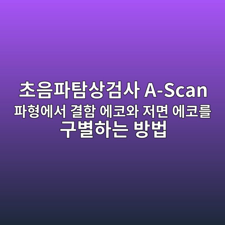 ecb488ec9d8ced8c8ced8390ec8381eab280ec82ac a scan ed8c8ced9895ec9790ec849c eab2b0ed95a8 ec9790ecbd94ec9980 eca080eba9b4 ec9790ecbd94 1789103766
